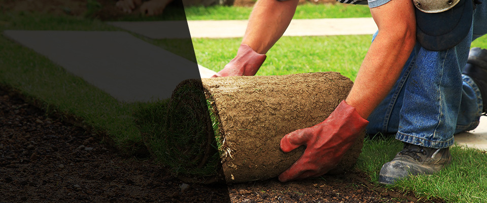 Connecticut Landscapers